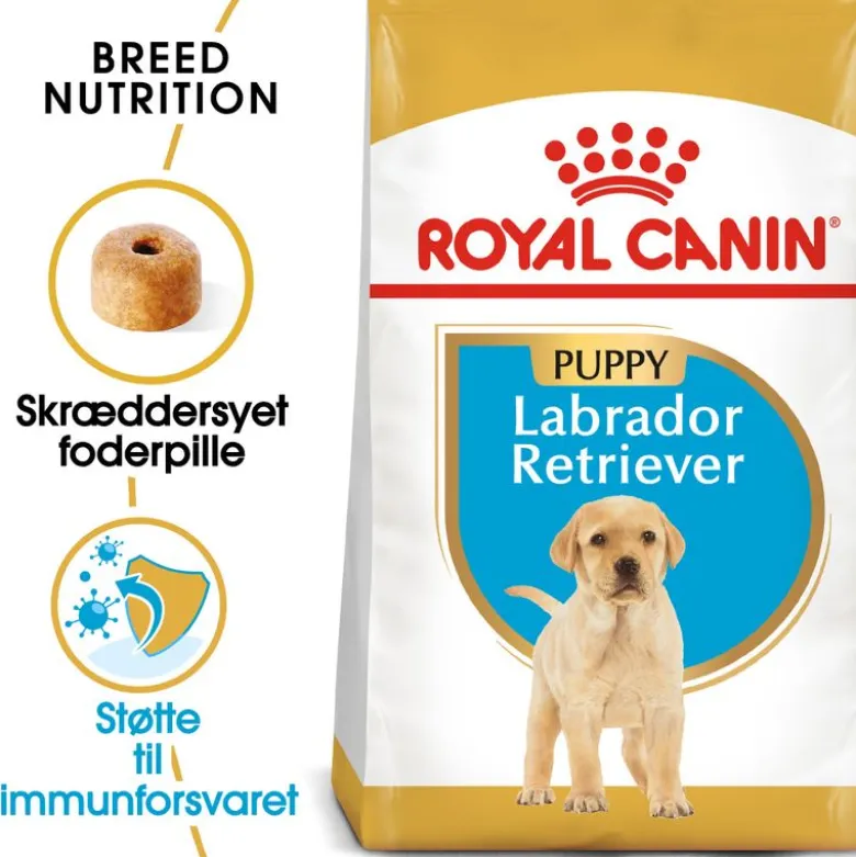 Royal Canin Labrador Retriever Puppy