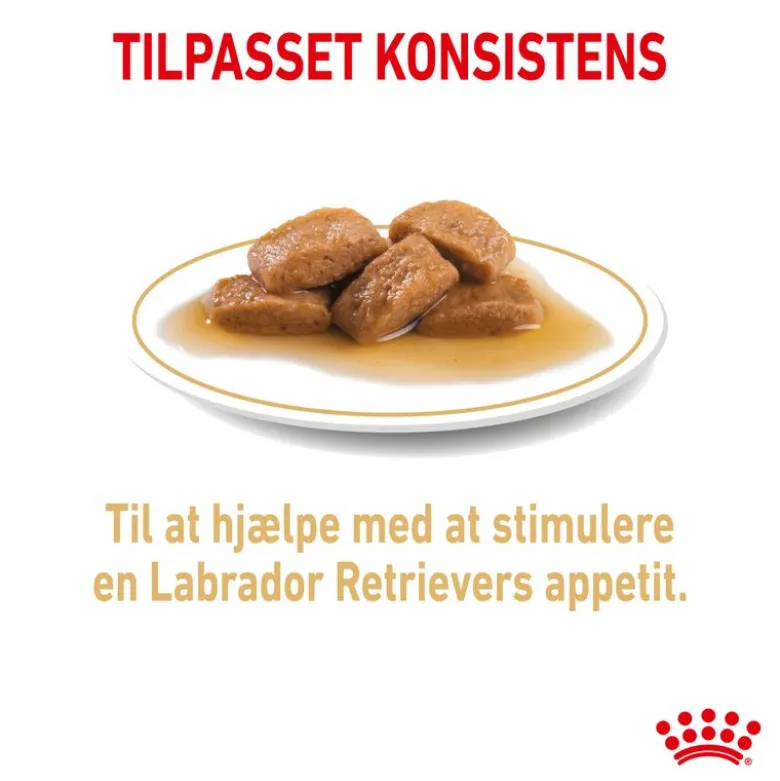 Royal Canin Labrador Retriever Adult i sauce