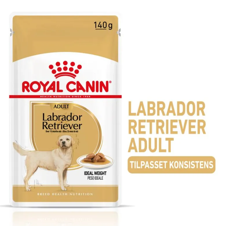 Royal Canin Labrador Retriever Adult i sauce