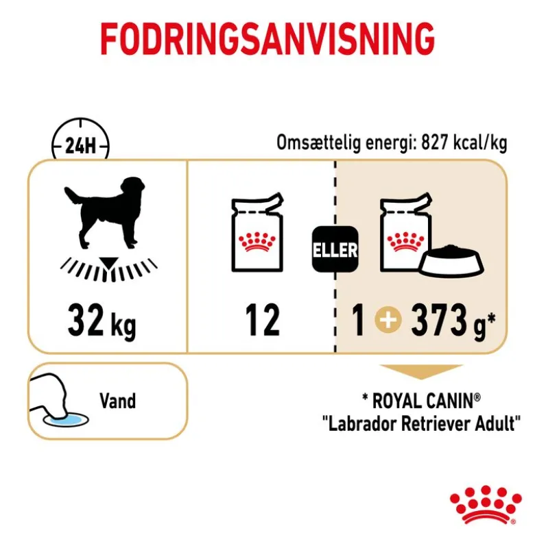 Royal Canin Labrador Retriever Adult i sauce