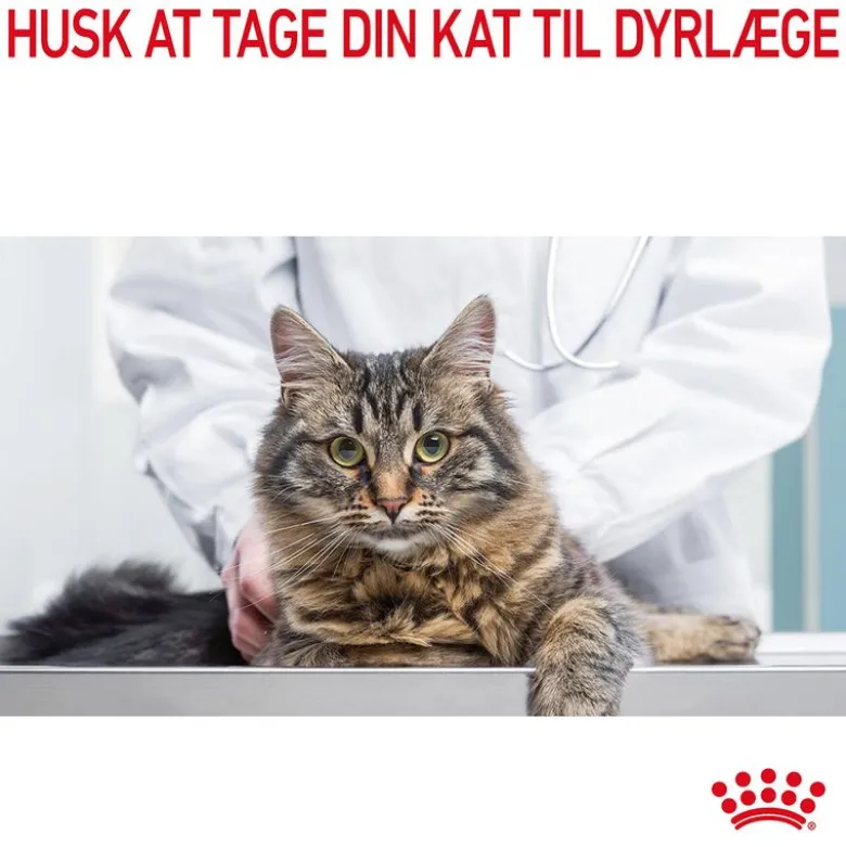 Royal Canin Light Weight Care i sauce