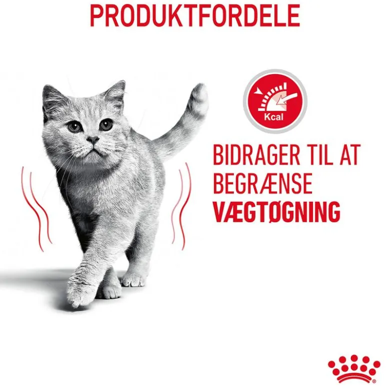 Royal Canin Light Weight Care i gelé