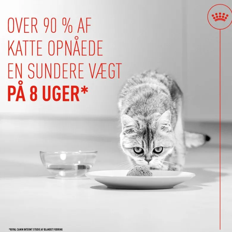 Royal Canin Light Weight Care AirLift Mousse
