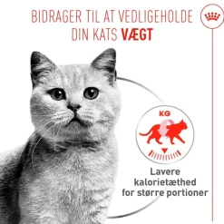 Royal Canin Light Weight Care AirLift Mousse