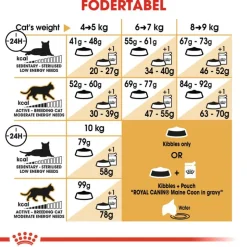 Royal Canin Maine Coon Adult