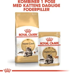 Royal Canin Maine Coon Adult i sauce