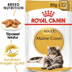 Royal Canin Maine Coon Adult i sauce