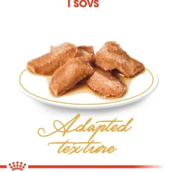 Royal Canin Maine Coon Adult i sauce