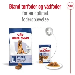 Royal Canin Maxi Adult 5+
