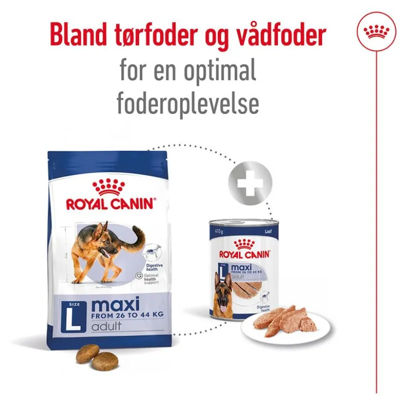 Royal Canin Maxi Adult
