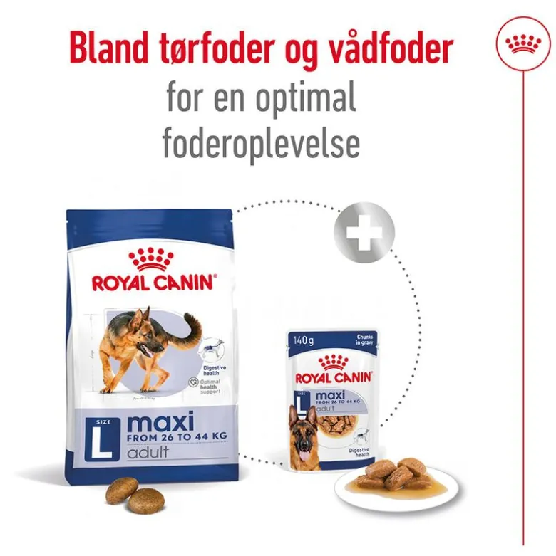 Royal Canin Maxi Adult