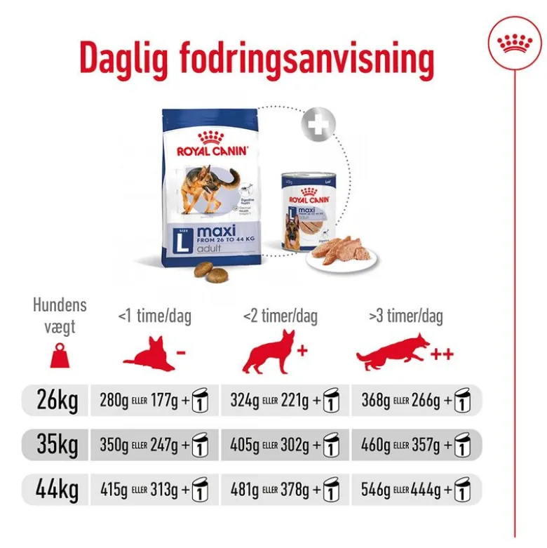 Royal Canin Maxi Adult