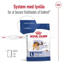 Royal Canin Maxi Adult