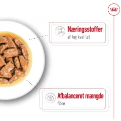 Royal Canin Maxi Adult i sauce