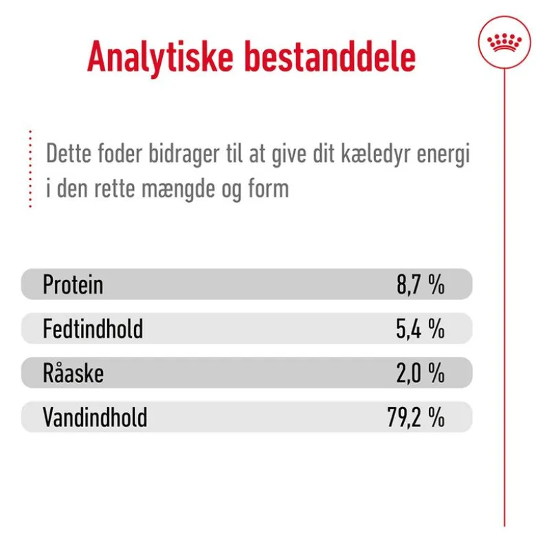 Royal Canin Maxi Adult Mousse