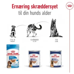Royal Canin Maxi Adult Mousse
