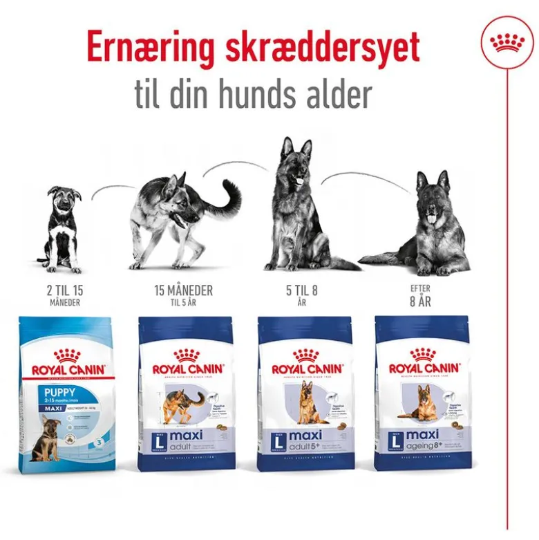 Royal Canin Maxi Ageing 8+