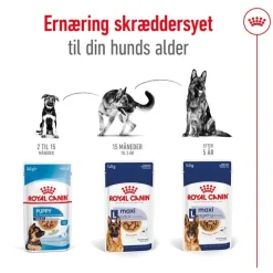 Royal Canin Maxi Ageing i sauce