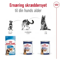 Royal Canin Maxi Ageing Mousse