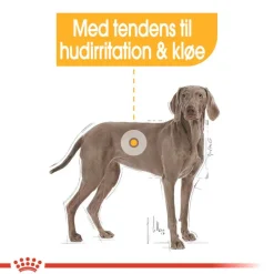 Royal Canin Maxi Dermacomfort