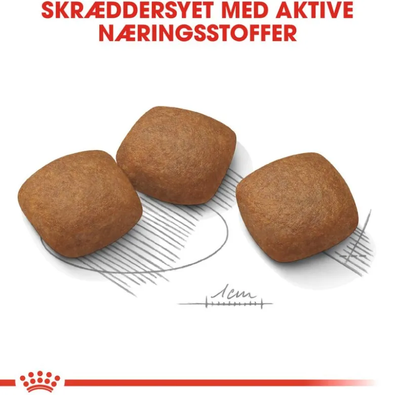 Royal Canin Maxi Joint Care