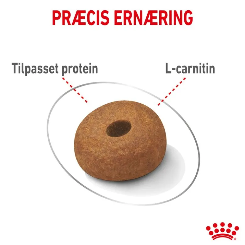 Royal Canin Maxi Light Weight Care