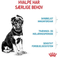 Royal Canin Maxi Puppy