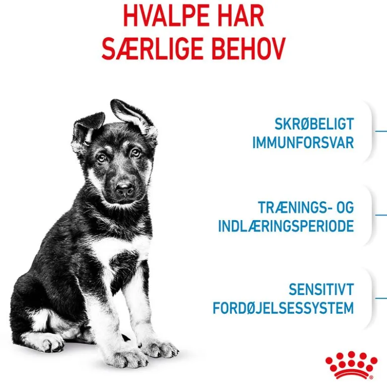 Royal Canin Maxi Puppy
