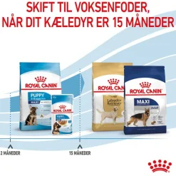 Royal Canin Maxi Puppy