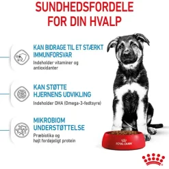 Royal Canin Maxi Puppy