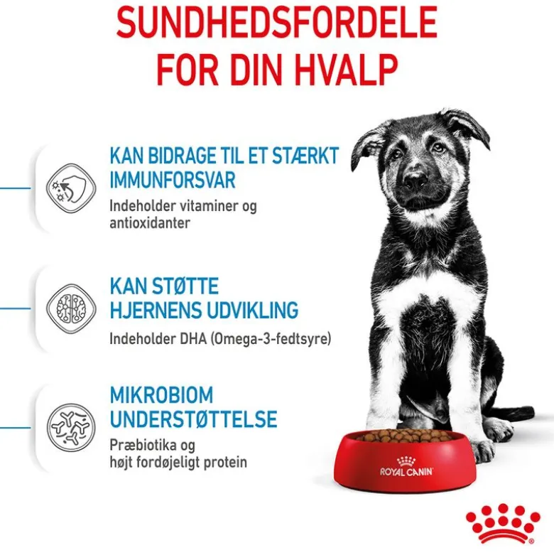 Royal Canin Maxi Puppy