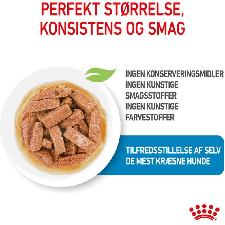 Royal Canin Maxi Puppy i sauce