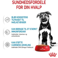 Royal Canin Maxi Puppy i sauce