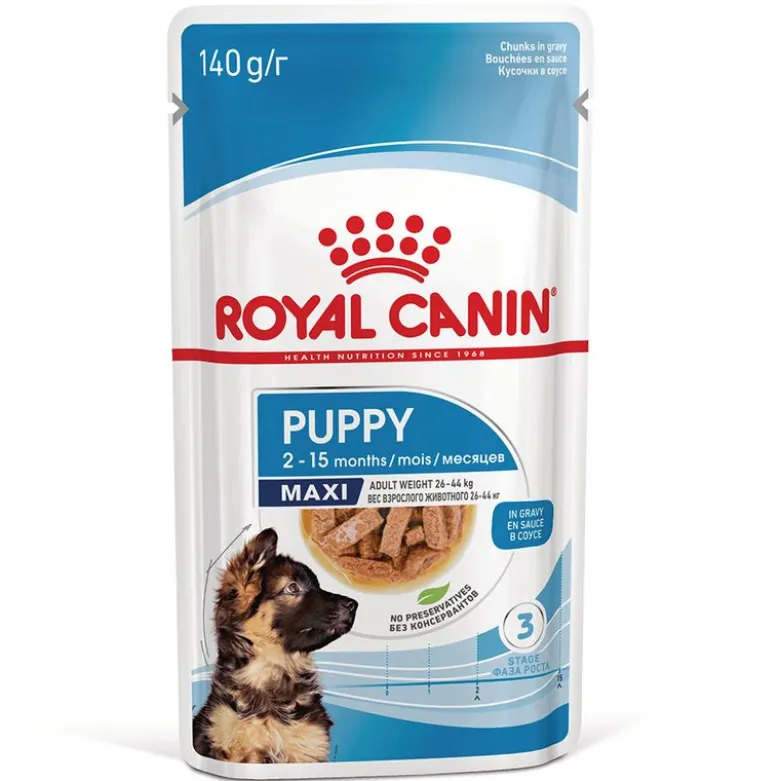 Royal Canin Maxi Puppy i sauce