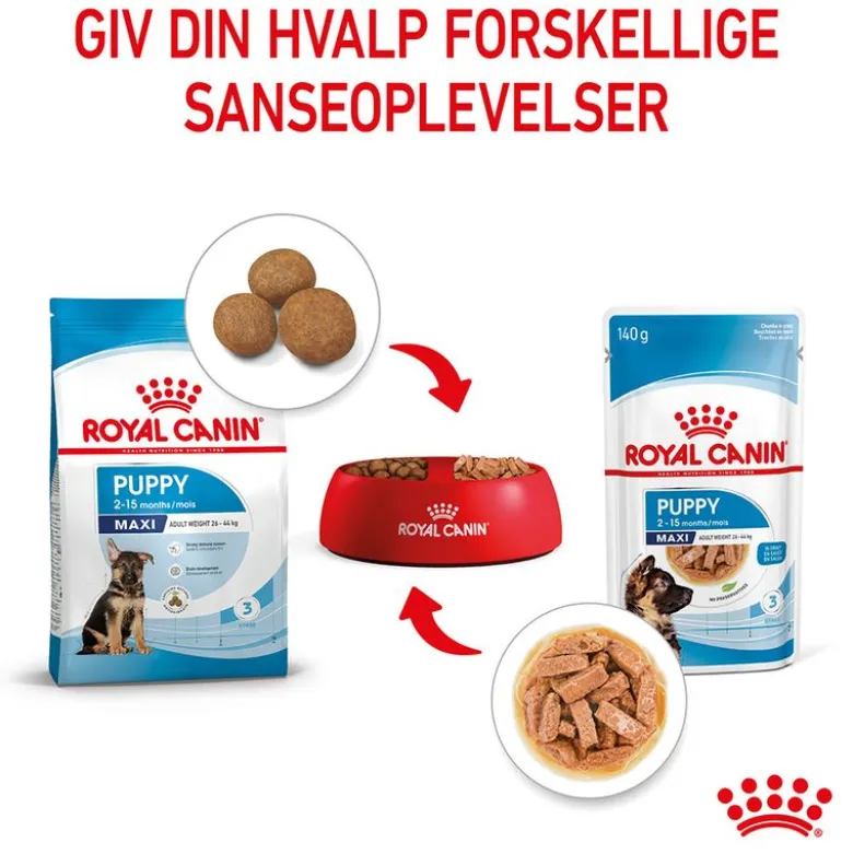 Royal Canin Maxi Puppy i sauce