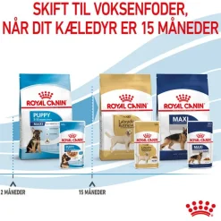 Royal Canin Maxi Puppy i sauce