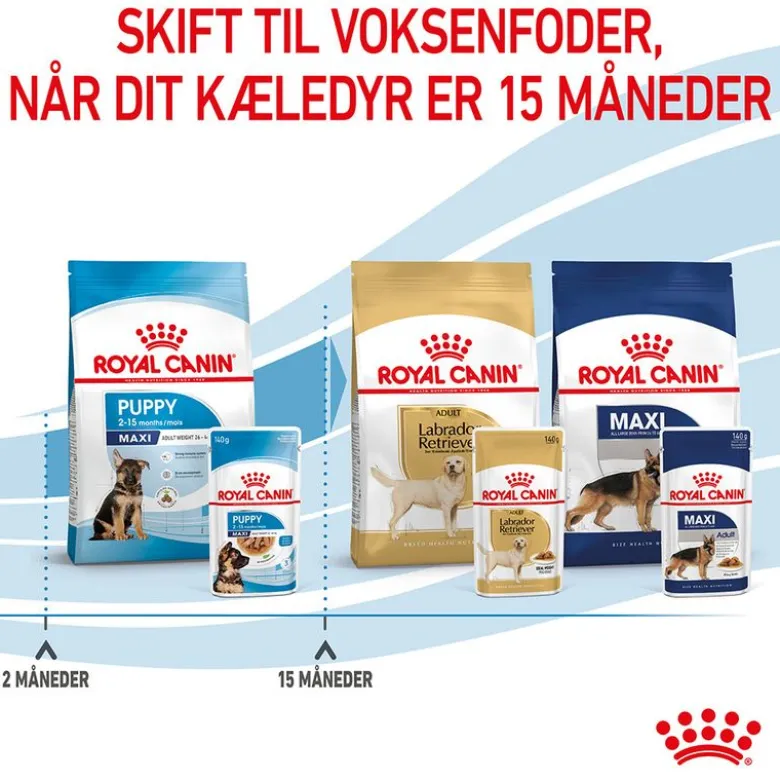 Royal Canin Maxi Puppy i sauce