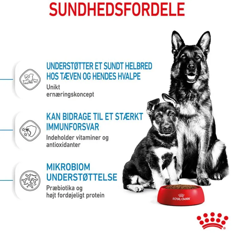 Royal Canin Maxi Starter Mother & Babydog
