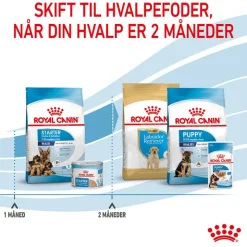Royal Canin Maxi Starter Mother & Babydog