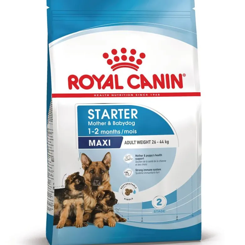 Royal Canin Maxi Starter Mother & Babydog