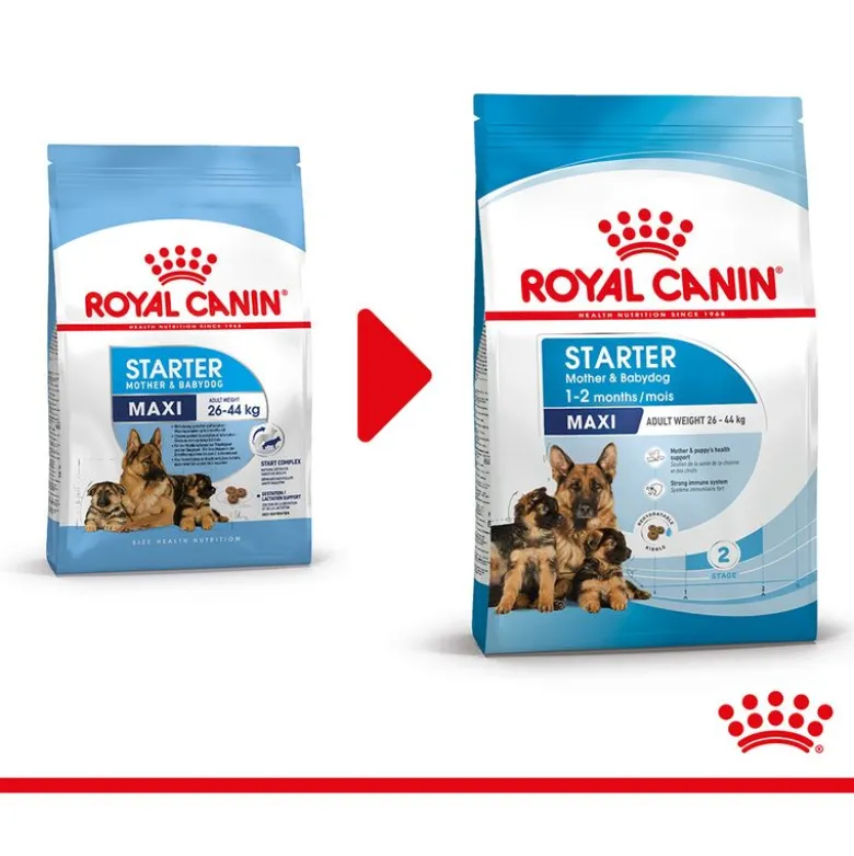 Royal Canin Maxi Starter Mother & Babydog