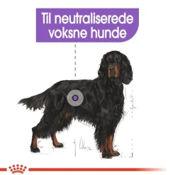 Royal Canin Maxi Sterilised