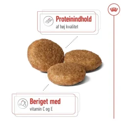 Royal Canin Medium Adult