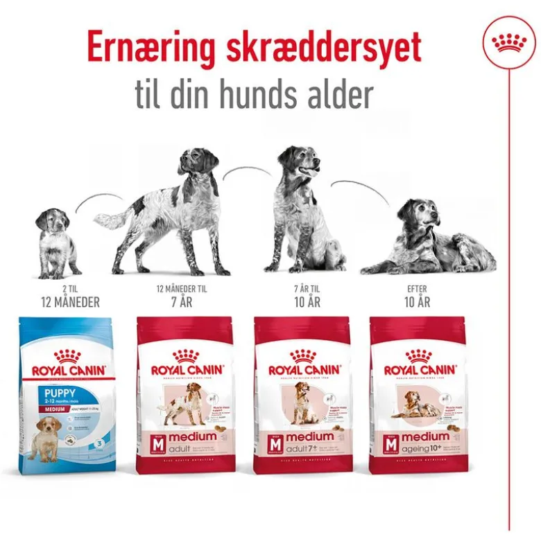 Royal Canin Medium Adult
