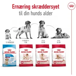 Royal Canin Medium Adult 7+
