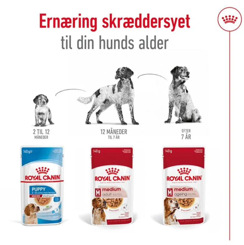 Royal Canin Medium Adult i sauce