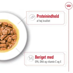 Royal Canin Medium Ageing i sauce