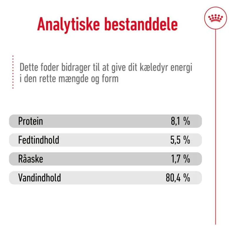 Royal Canin Medium Ageing i sauce
