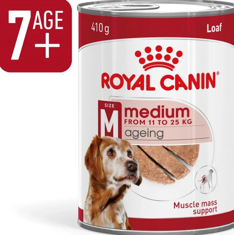 Royal Canin Medium Ageing Mousse