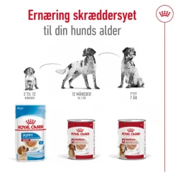 Royal Canin Medium Ageing Mousse